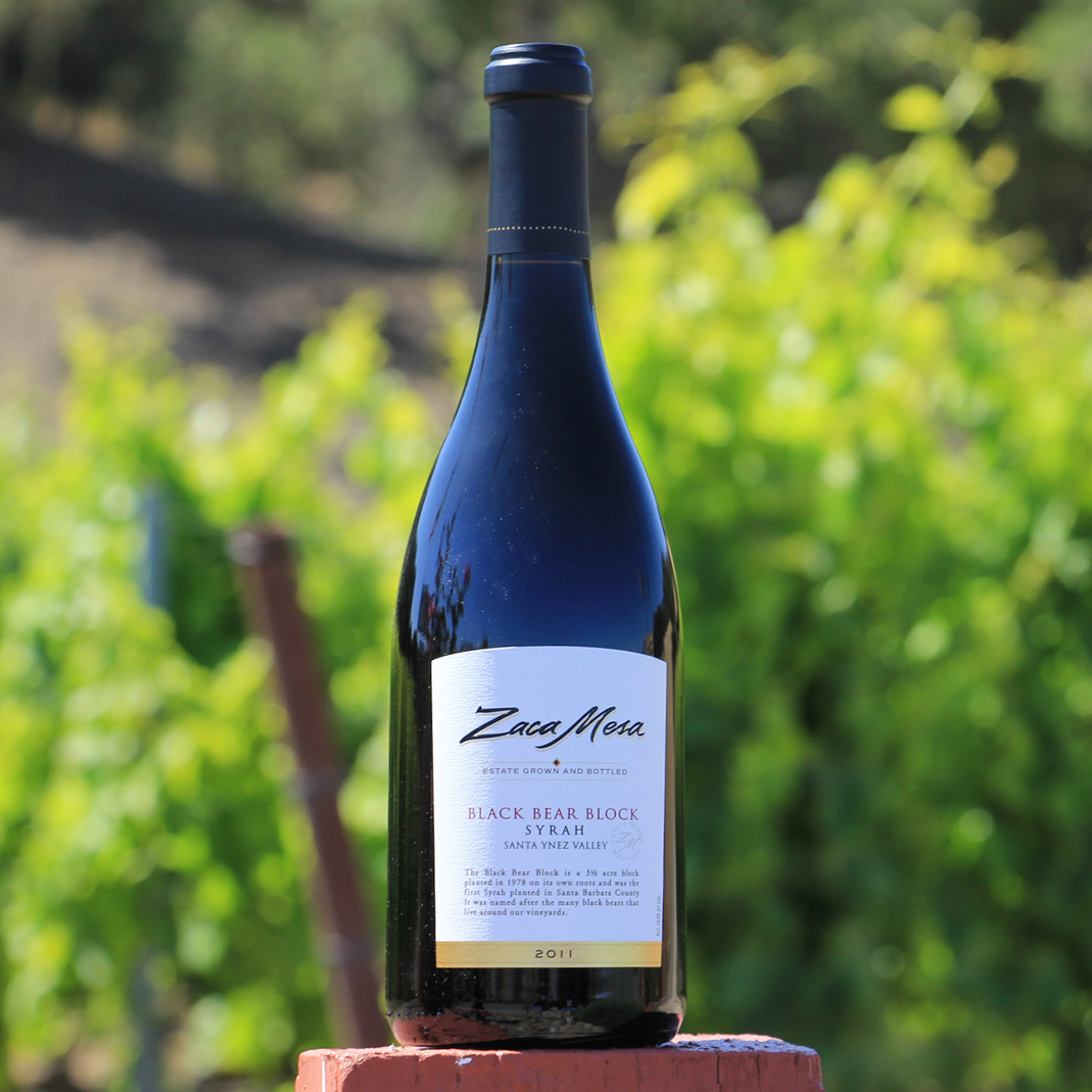 photography image placeholder